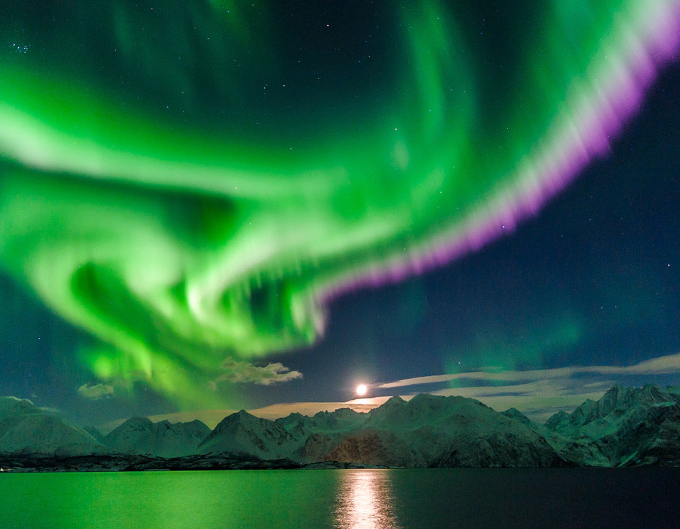 A view of the Northern Lights over a snowy landscape