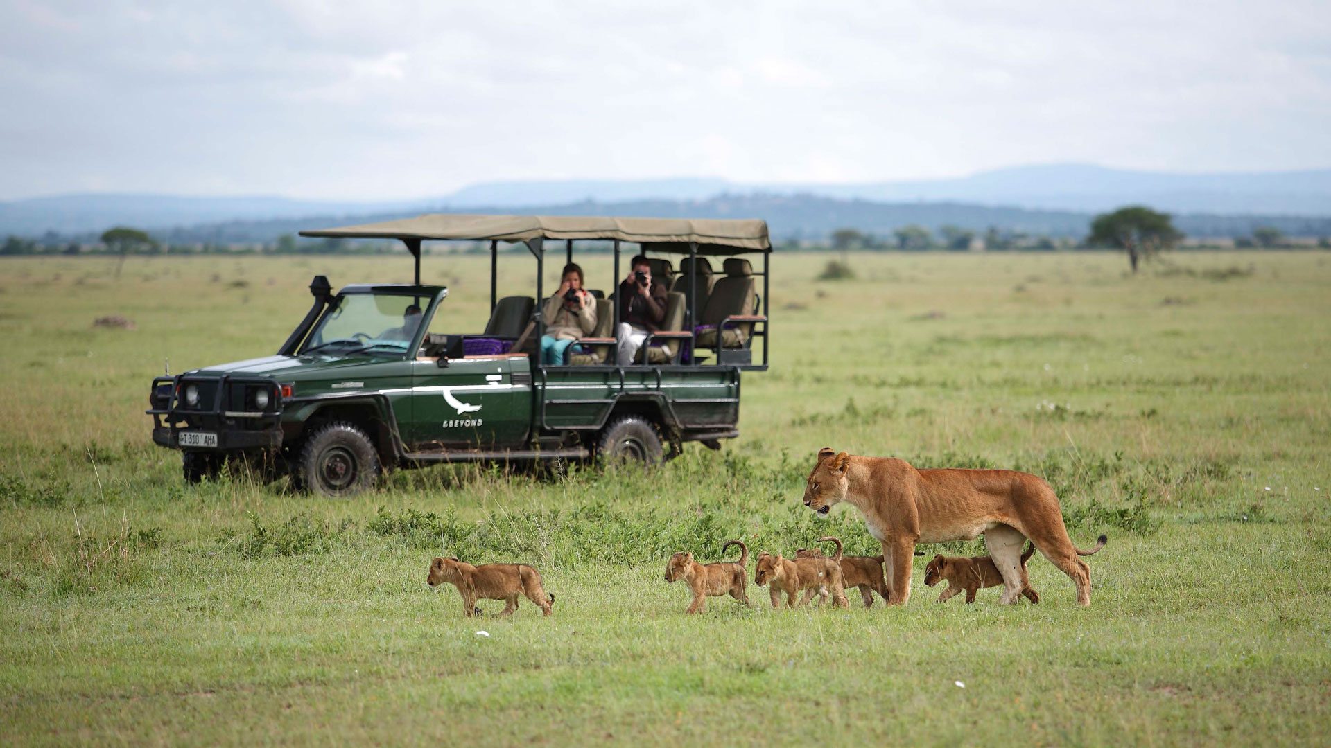Wildlife in the Serengeti National Park